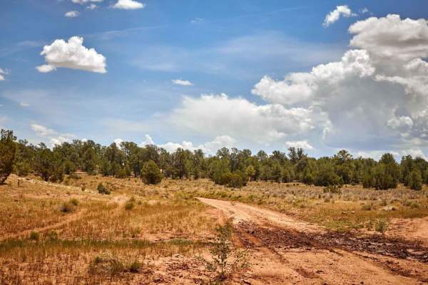 Old 301 Road (Southern Section)