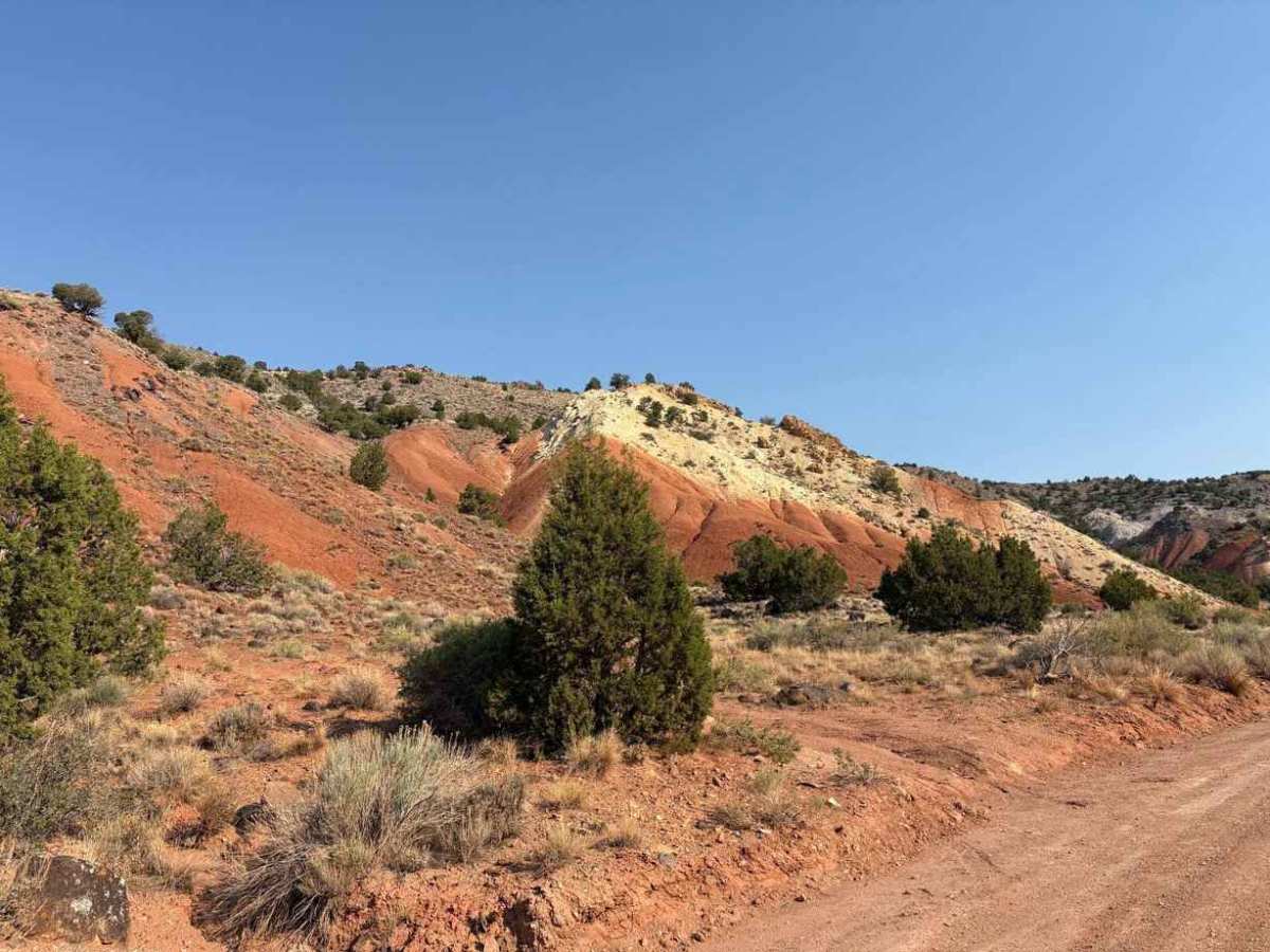 Twist Canyon photo 4