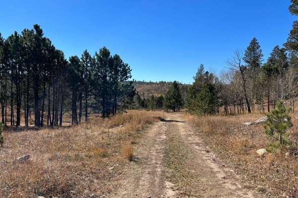 Ditch Creek Br & Long Canyon