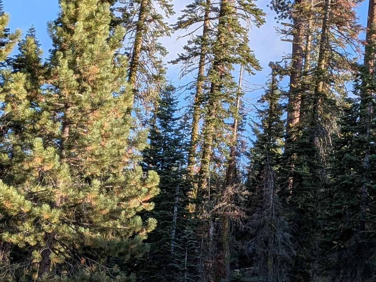 FS 5N30 photo 3