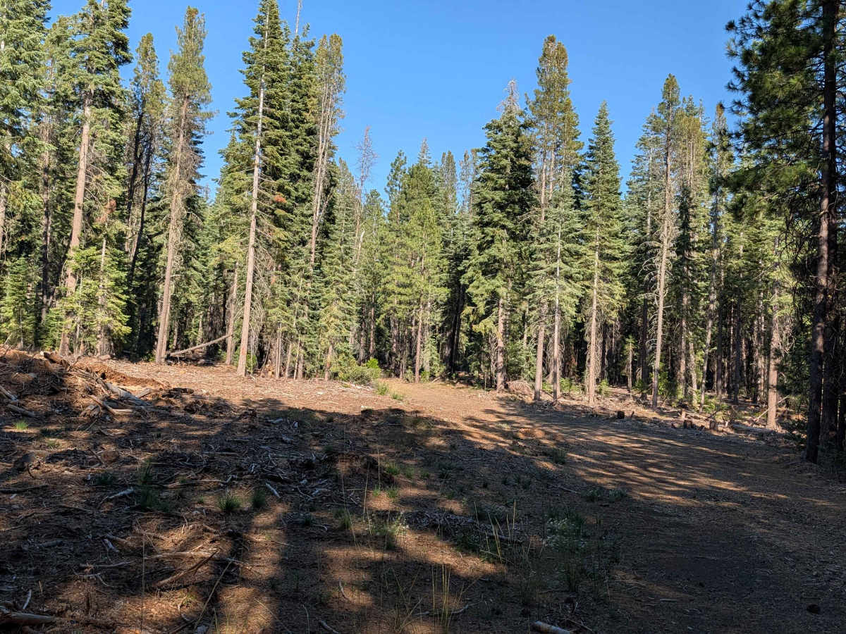 Lava Gap FS42N59 photo 4