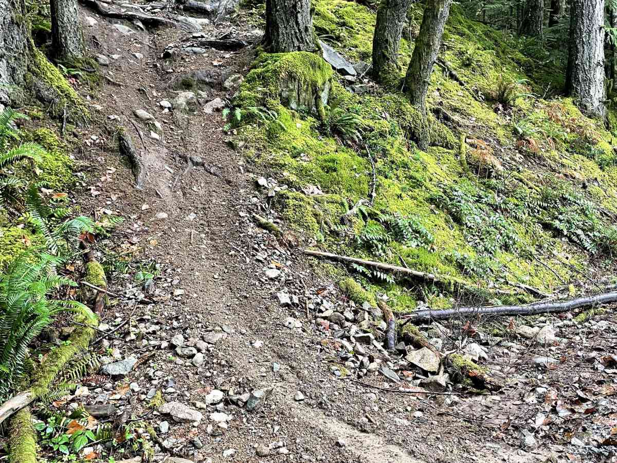 Trials Trail photo 5