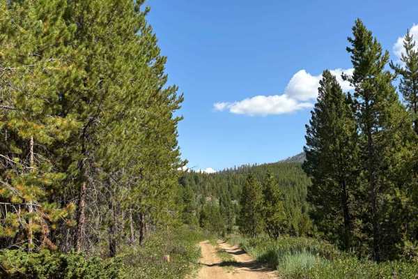 Bureau of Land Management 2762 Cutoff