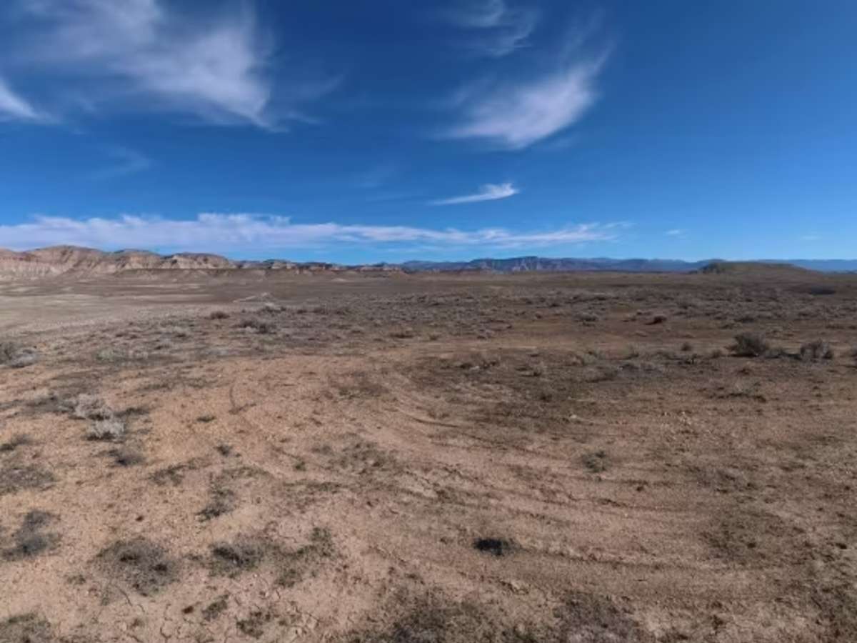 BLM 123 photo 5
