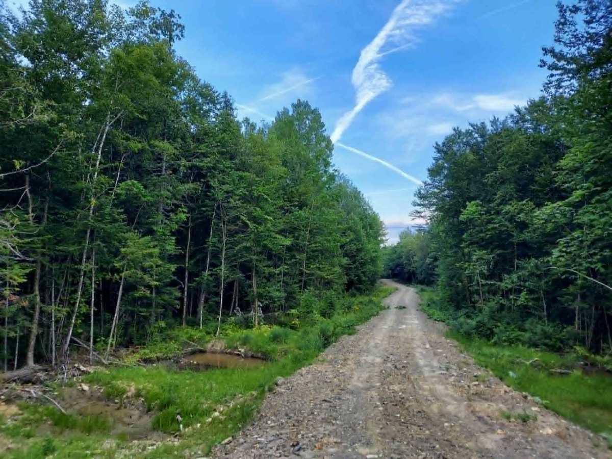 SCOPAN Spur trail photo