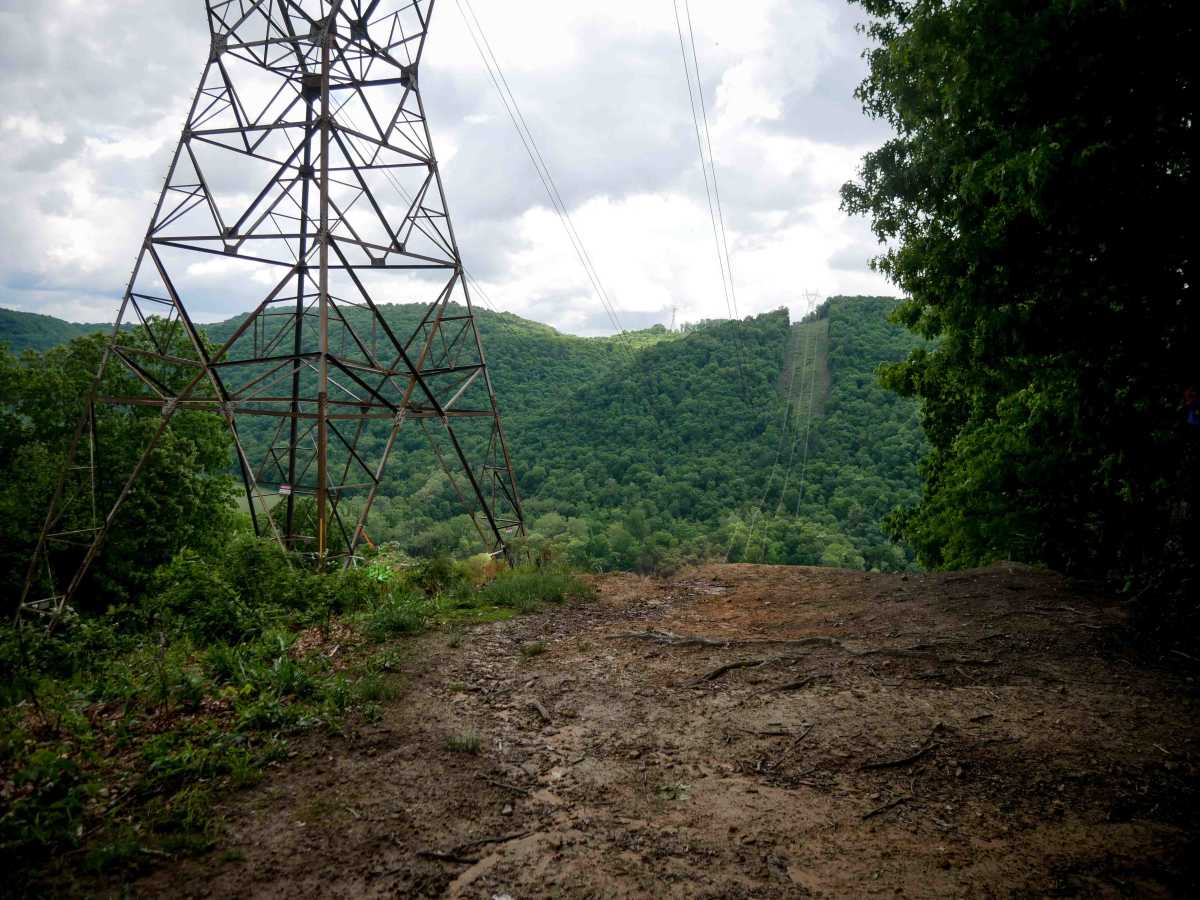 Trail 3 photo 4
