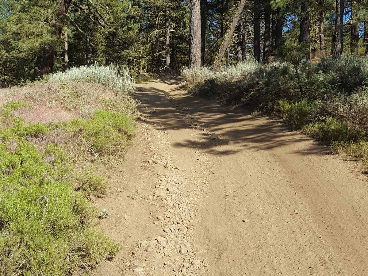 West Frazier Trail - FS 20W03 photo 3