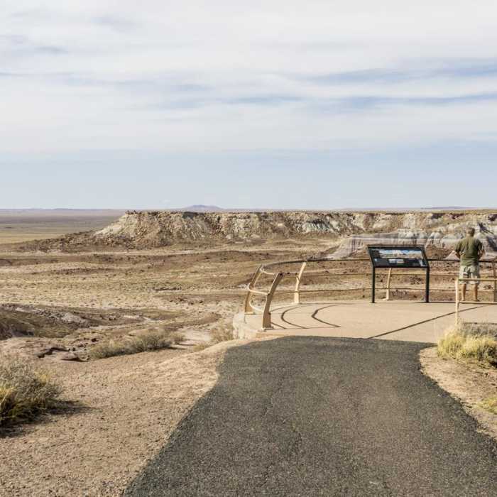 Near Jasper Forest Road Near Jasper Forest Road