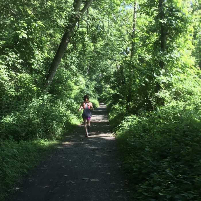 Near Lower Susquehanna Heritage Greenway Trail