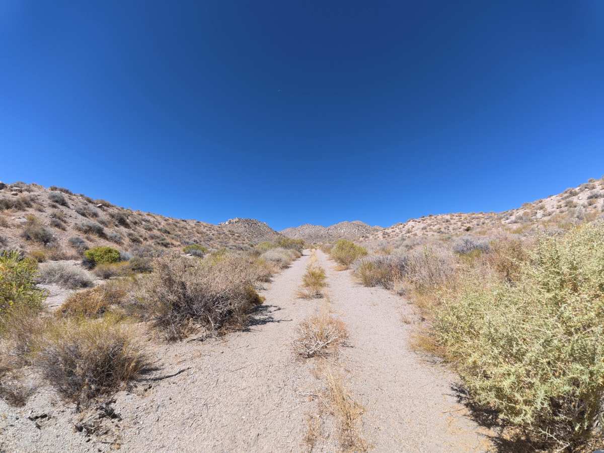 BLM 544 photo 2