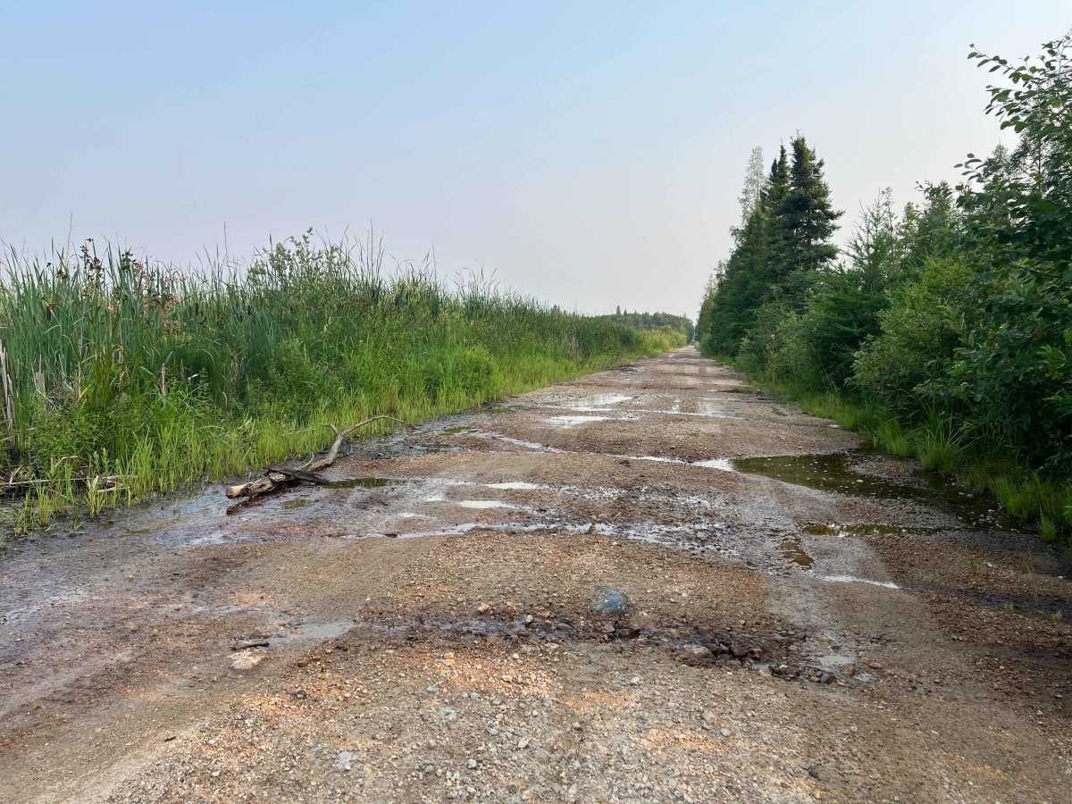 Agassiz Road trail photo