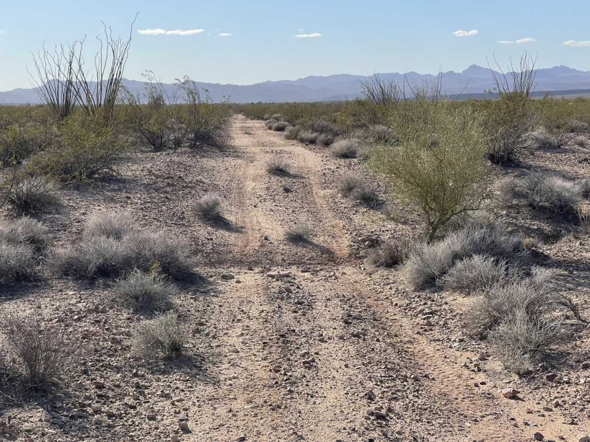 Where Did The Trail Go photo 3