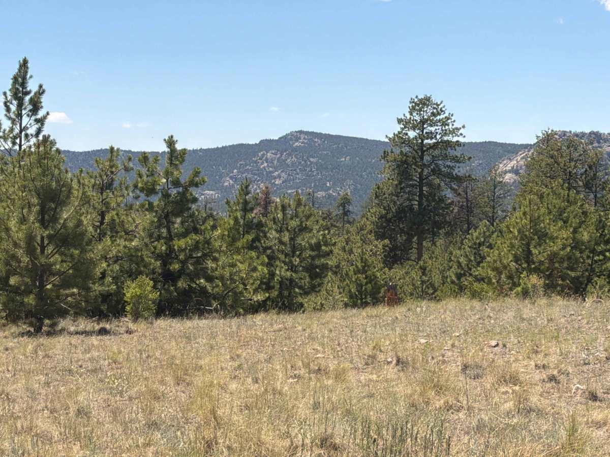 Wiggler Loop Road - FS 243.1B photo 6