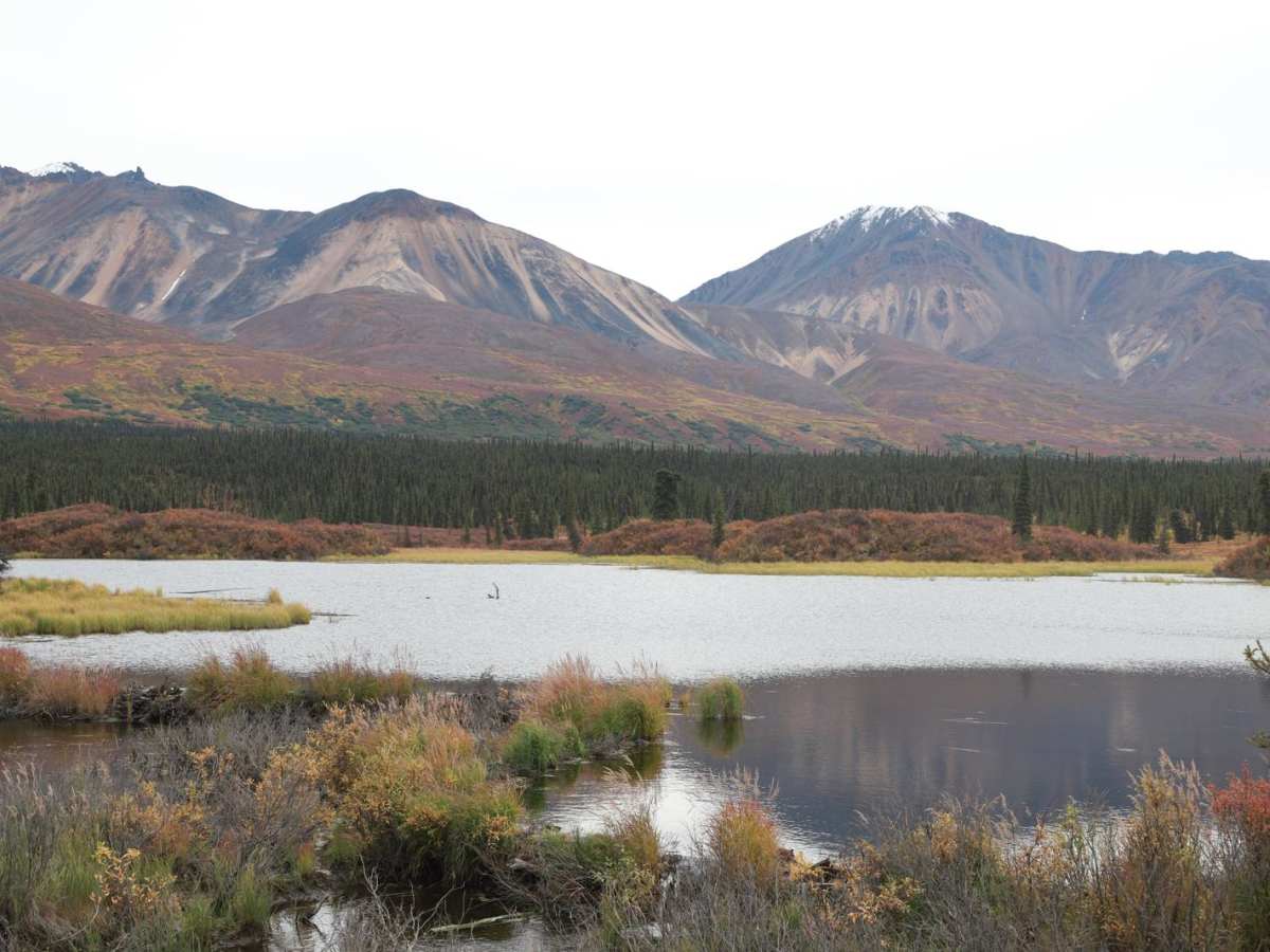 Denali Highway photo 5