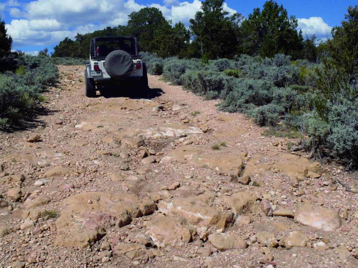 Tater Ridge photo 4