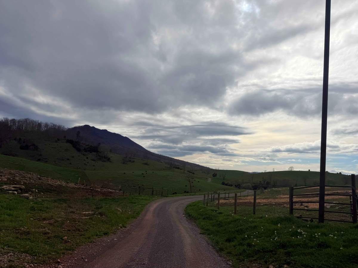 Clifton Farm Road  photo 2