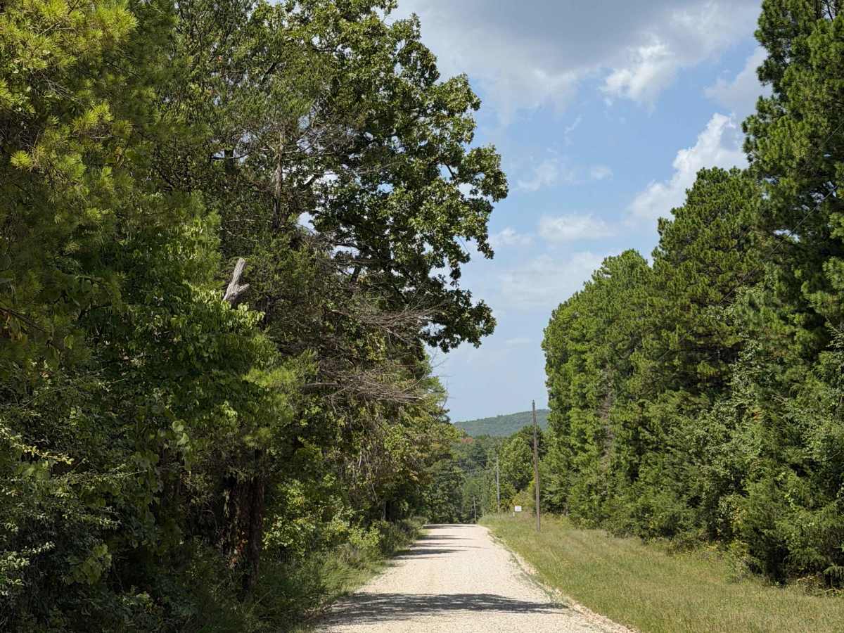 County Road 114 photo 2