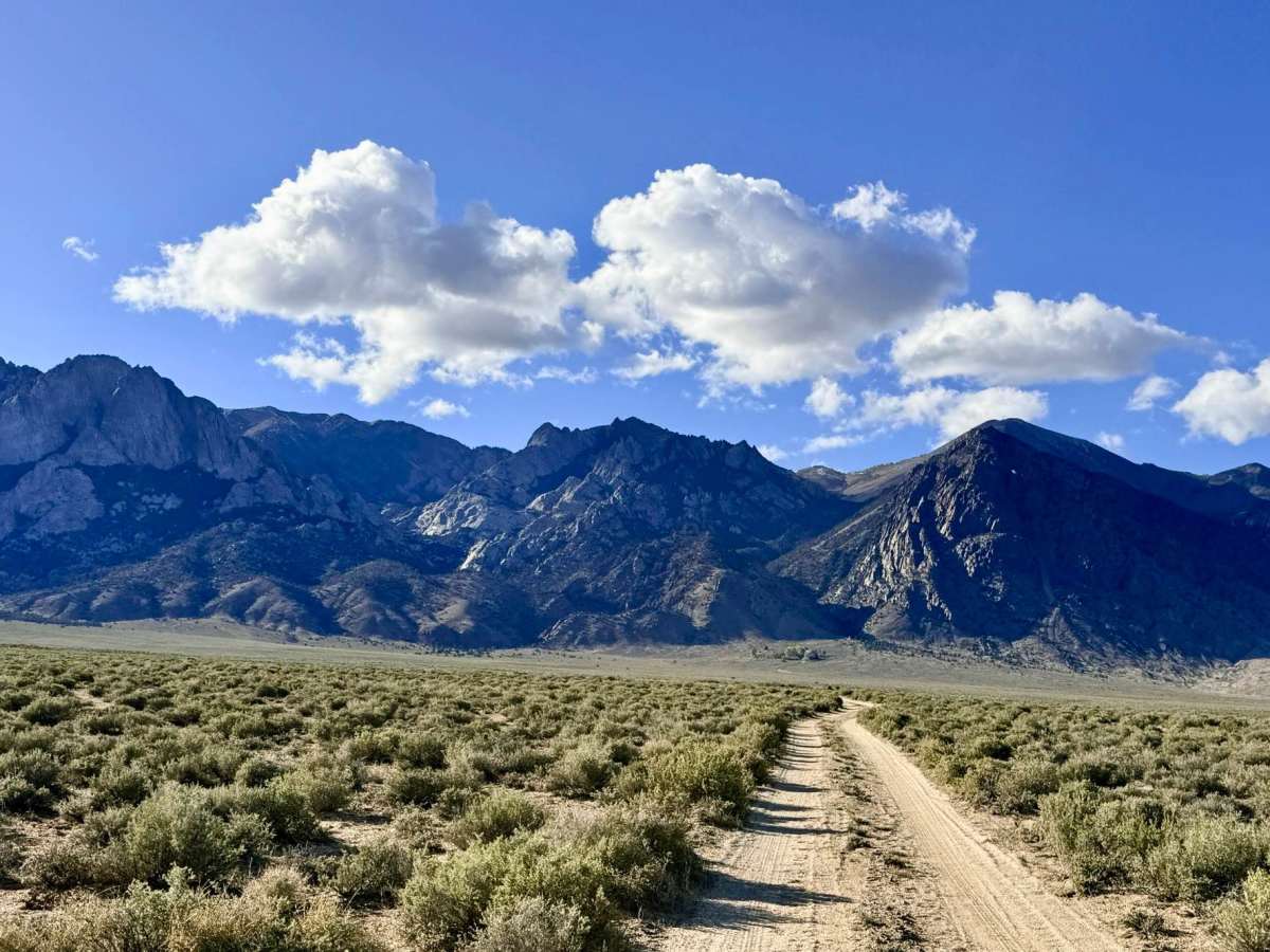 McLeod Creek - FS 43336 trail photo
