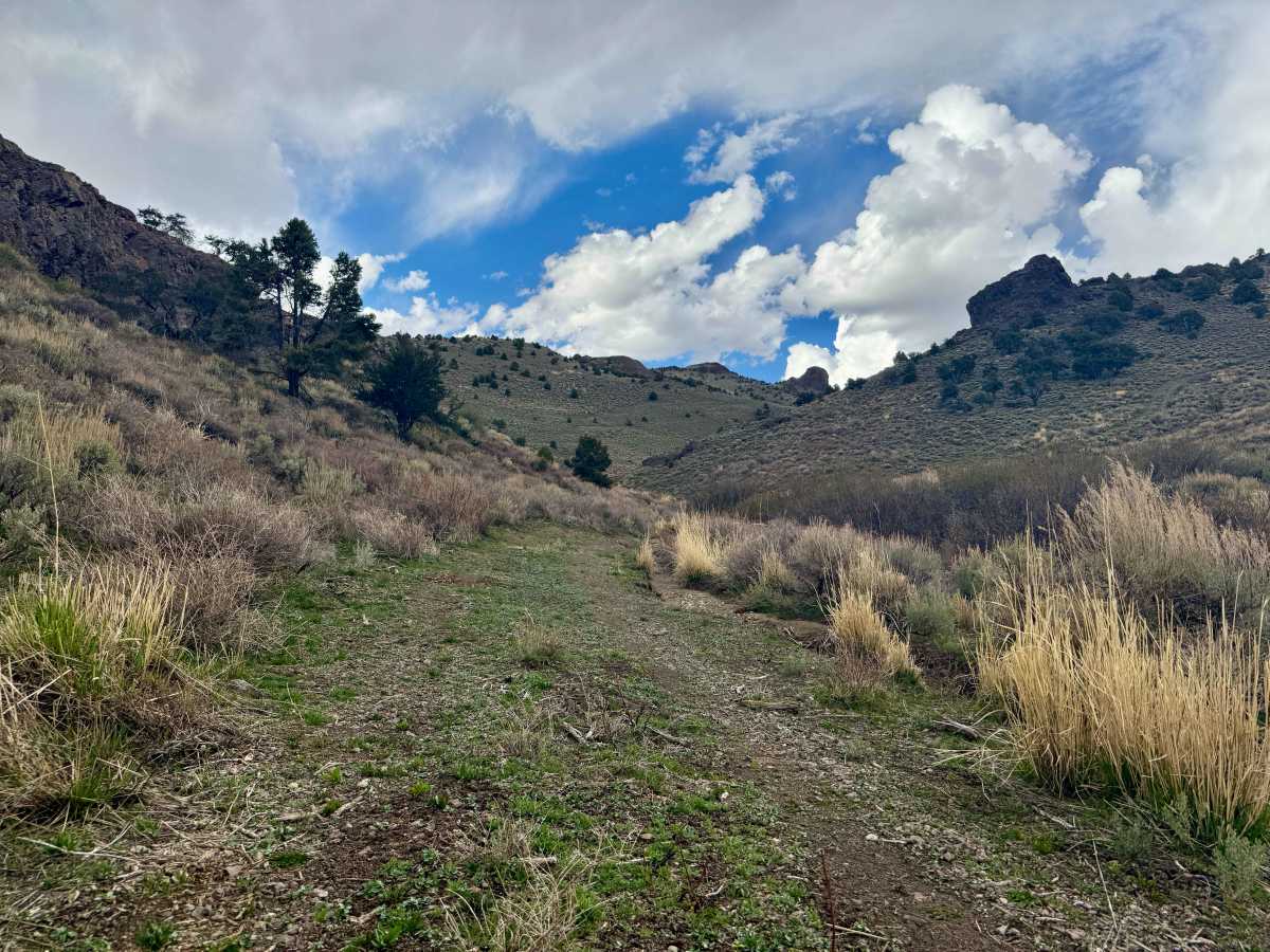 Mcmaughn Canyon Trail photo 6