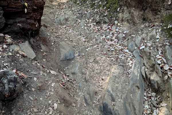 Trail 8 (11E24) 