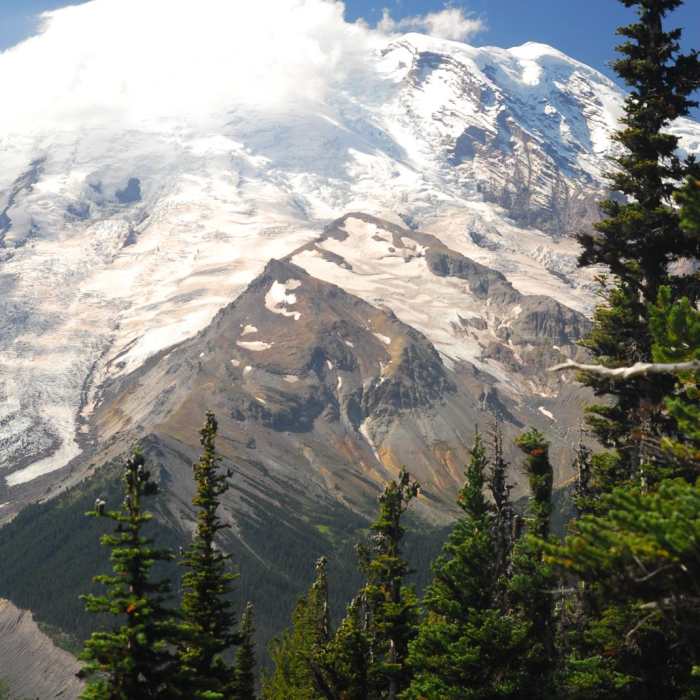 Near Silver Forest Trail