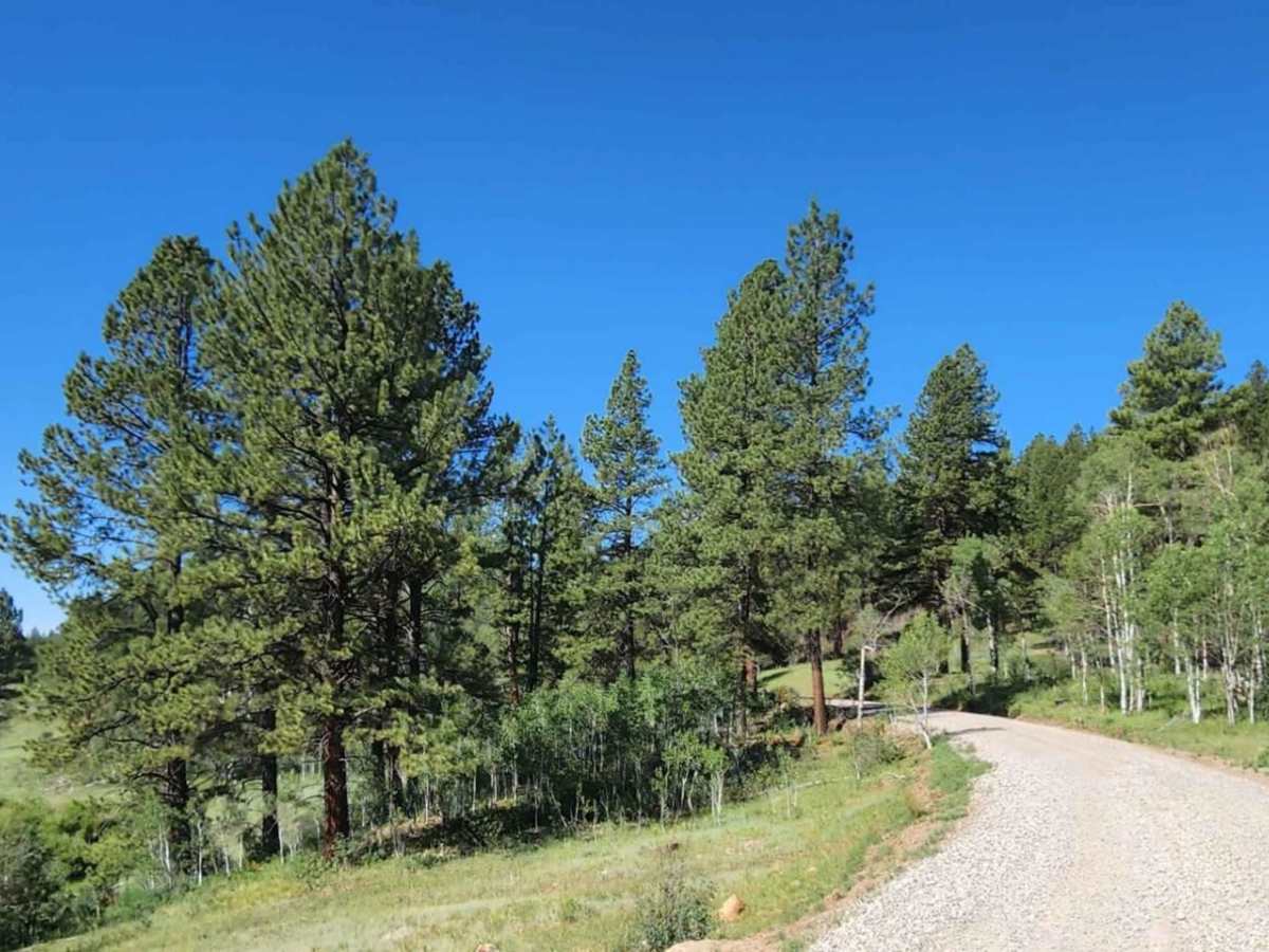 Trail Canyon photo 4