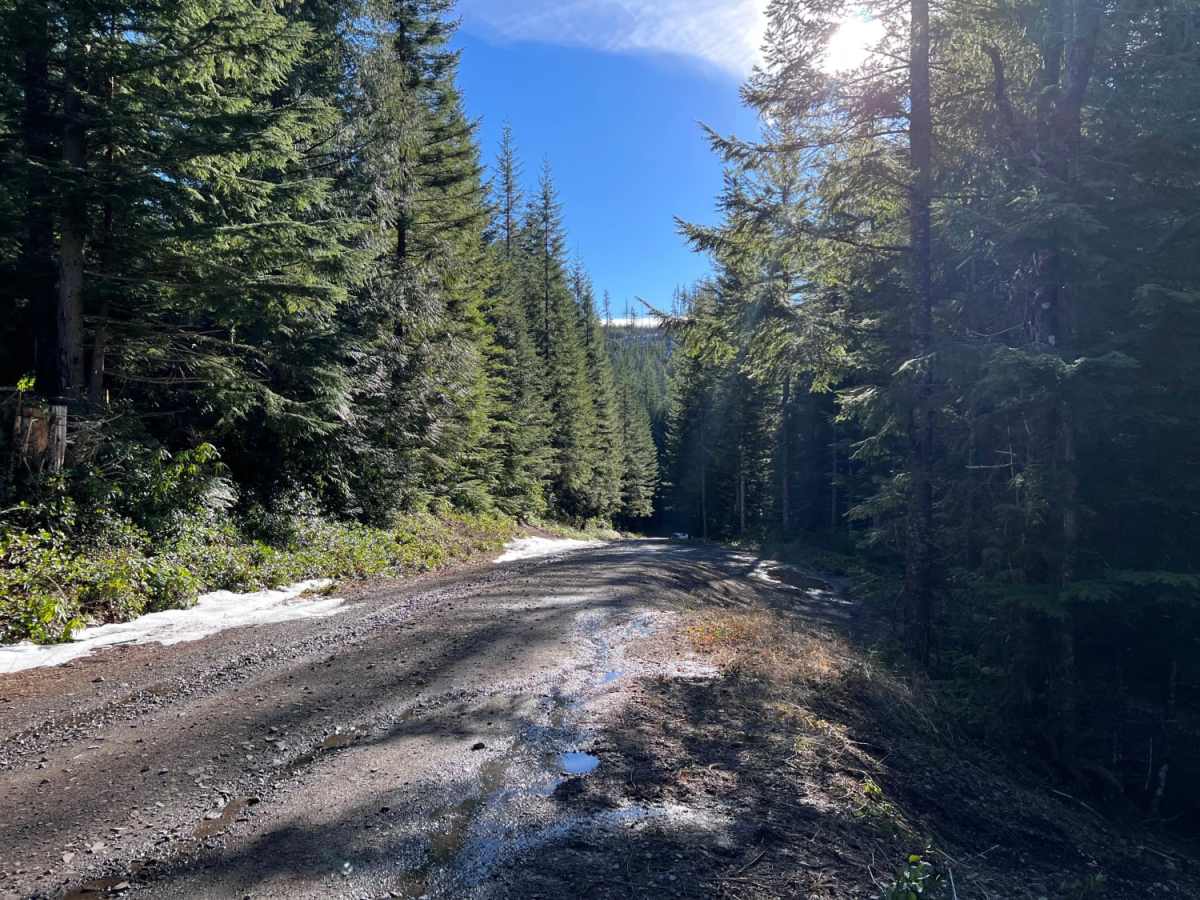 Green Mountain Road photo 6