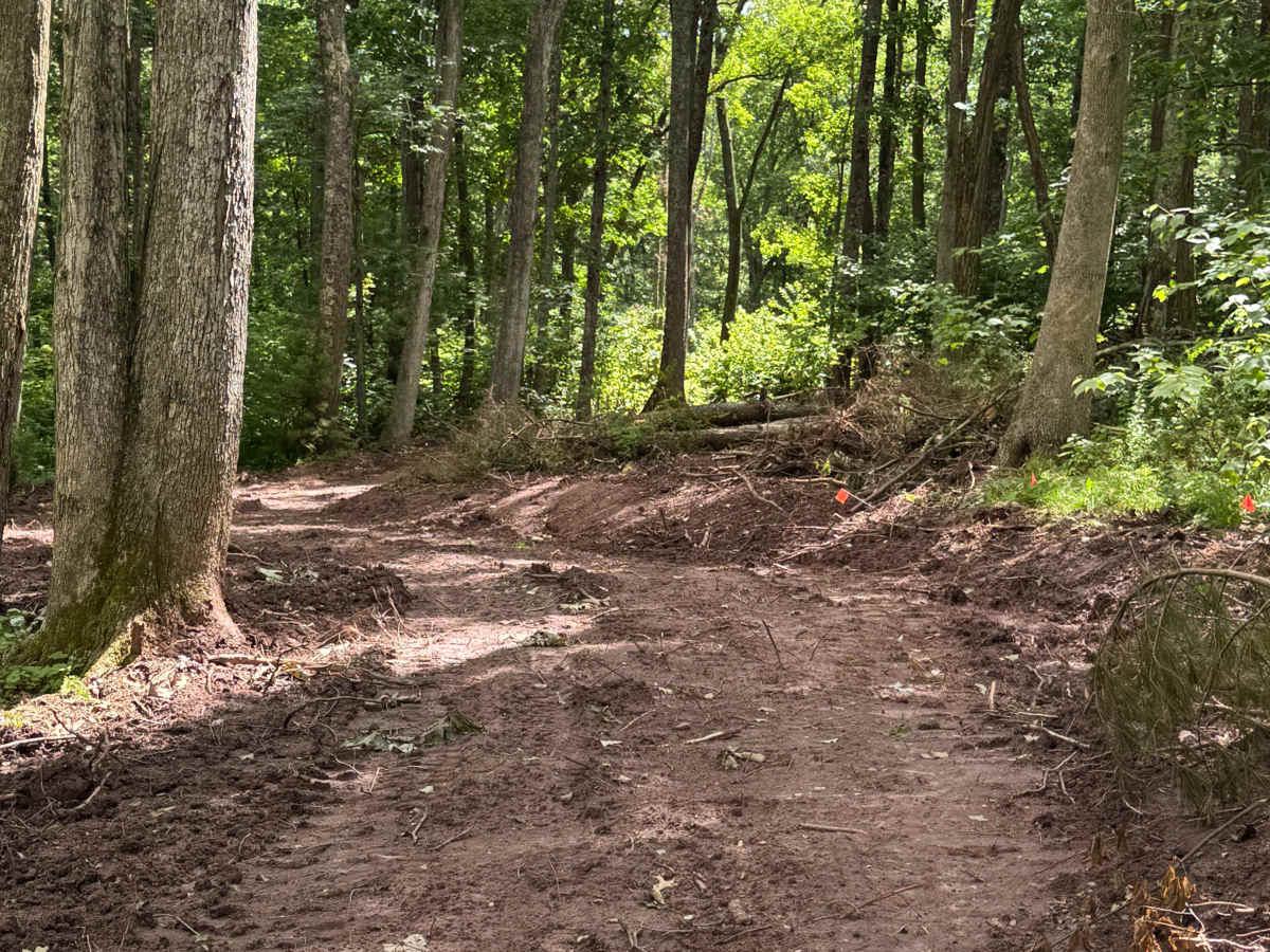 Bail-Out Trail Loop photo 3