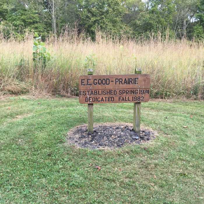 Near Prairie Warbler Trail