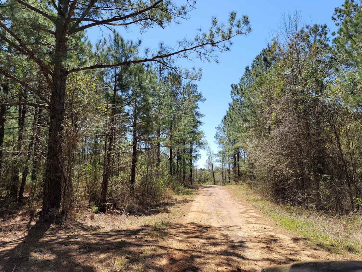 The Arkansas Overland Route - Section 3 - Road 113 to Highway 76 photo 4