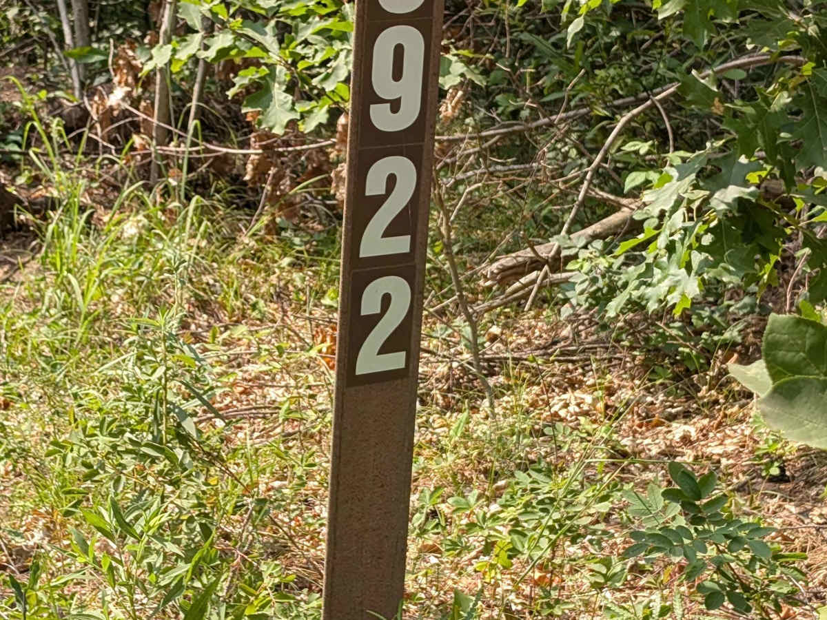 FS 3922 photo 3