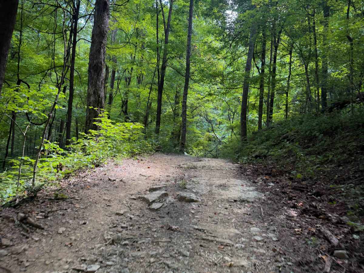 Gibson Knob Trail 15   photo 4