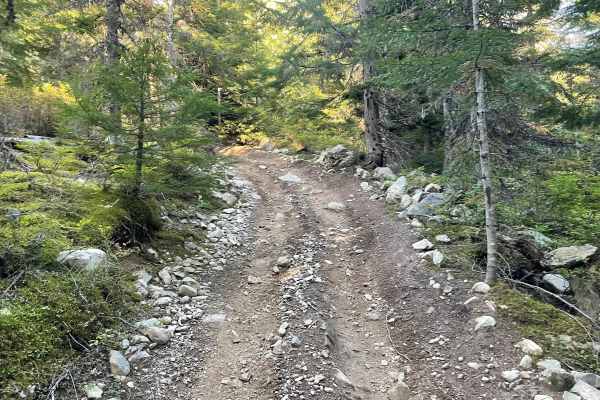 Doubletrack #4