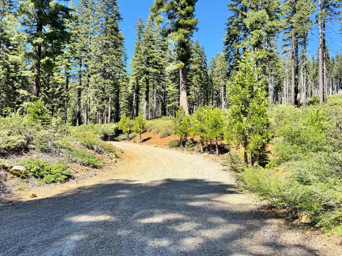 Rattlesnake - FS 27N12 trail photo
