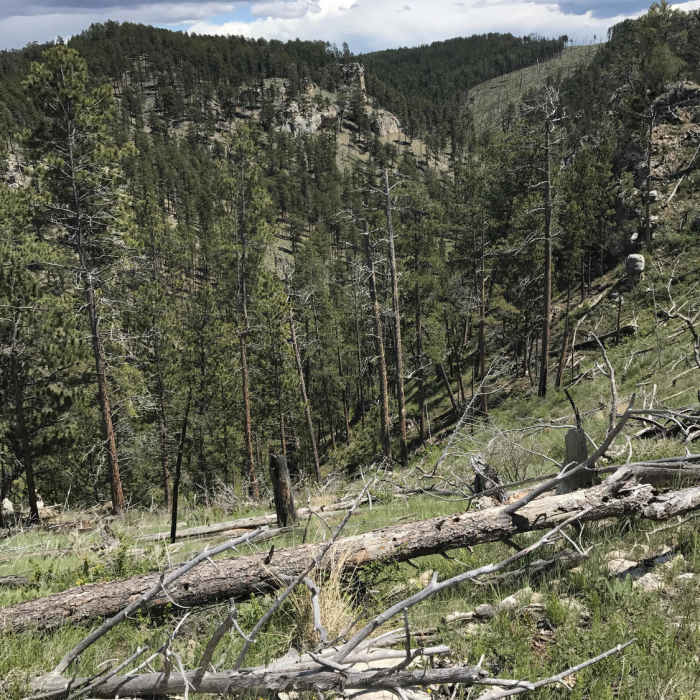 Looking down into the canyon. Near Hell Canyon Trail