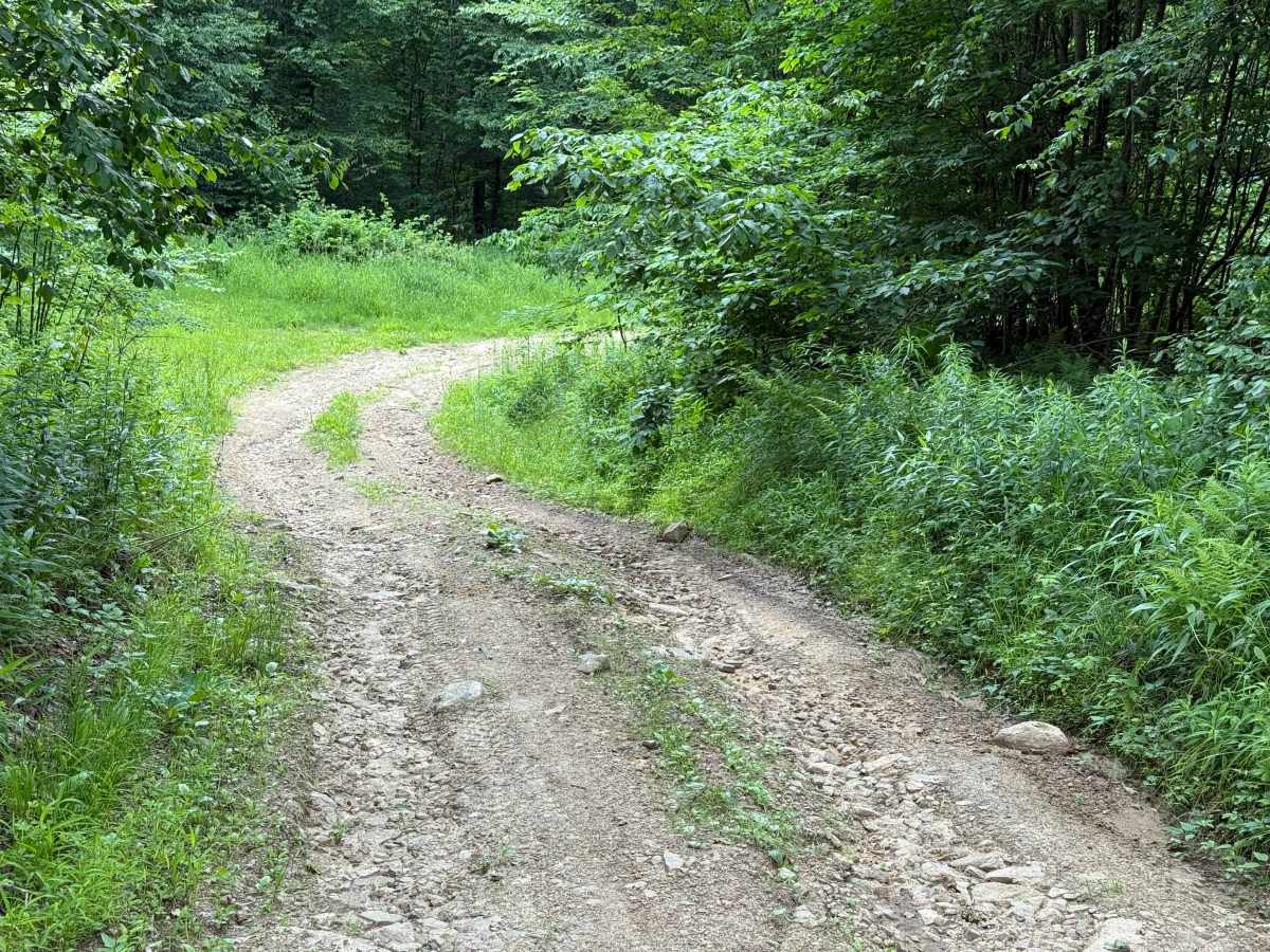 Chubbs Trail photo 6