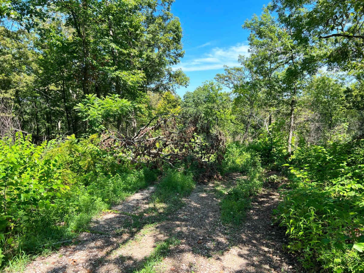 Scroggins Ridge to Rock Creek photo 2