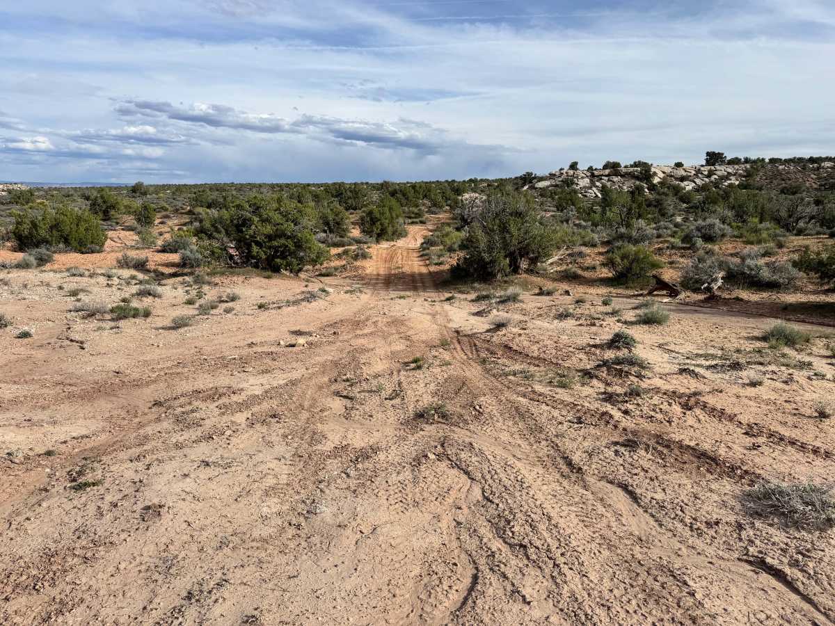 Cisco Claymore Hills Cutoff photo 5