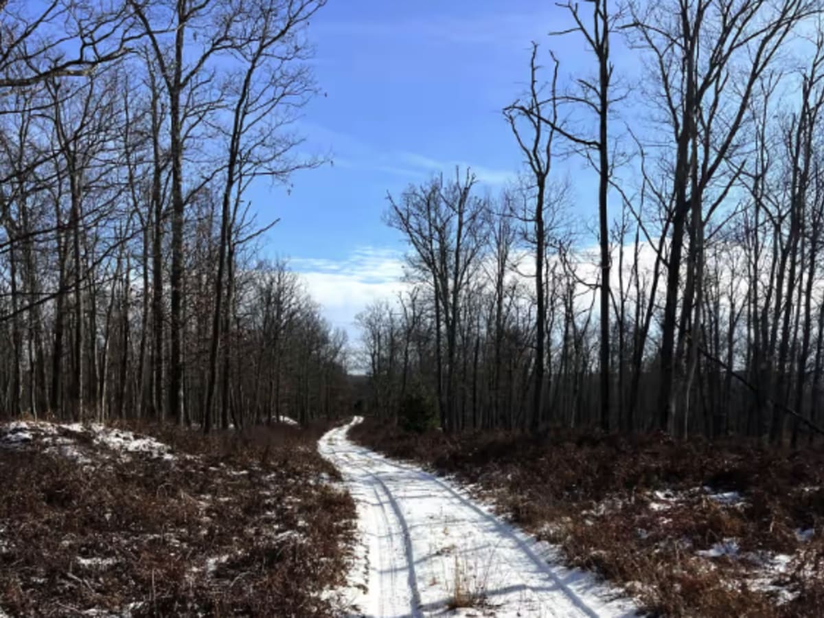 Coffer's Camp Trail photo 6