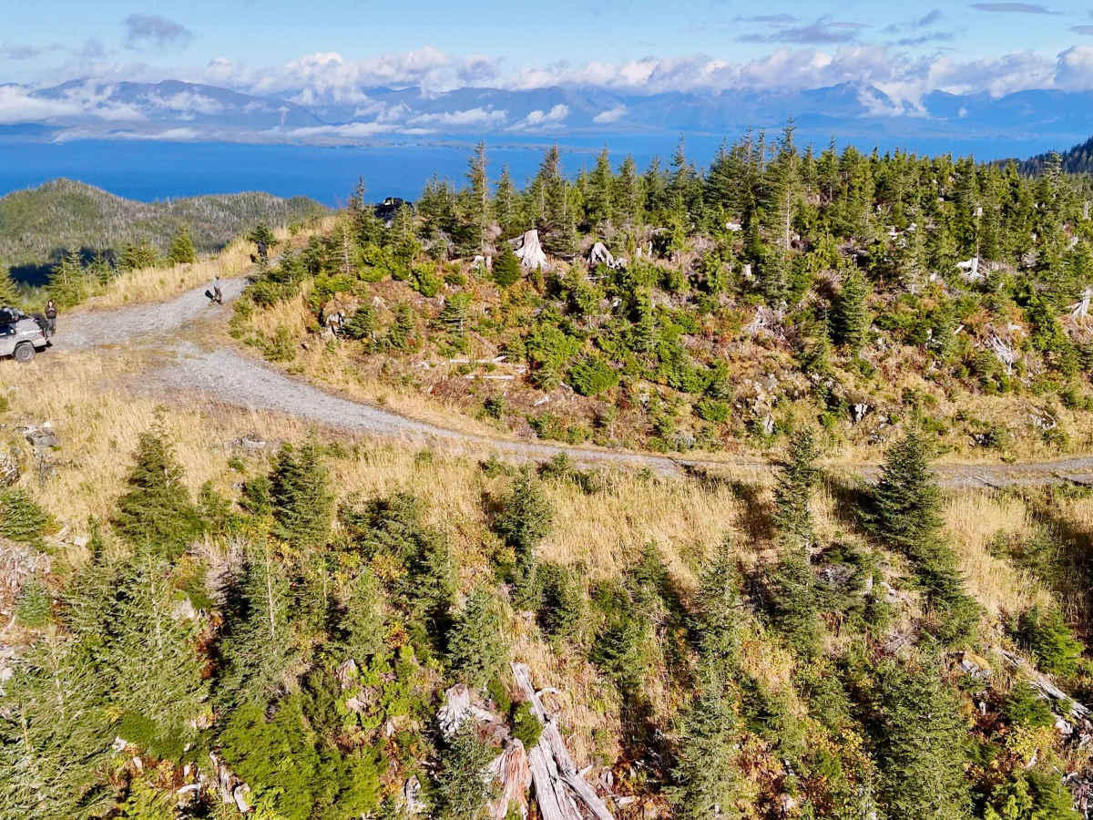 East Luck Lake Road - FS 3030110 trail photo