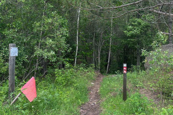 Alger Grade - Trail 1