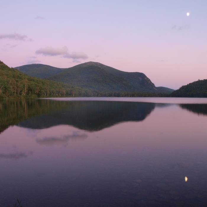 Near The Traveler and South Branch Mountain Loop