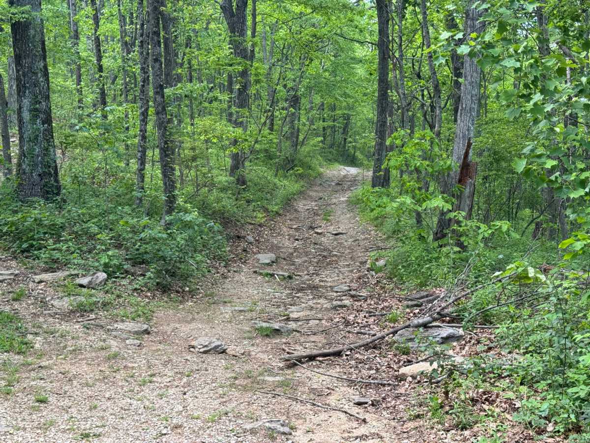 Hawk Mountain - FS 42A photo 4