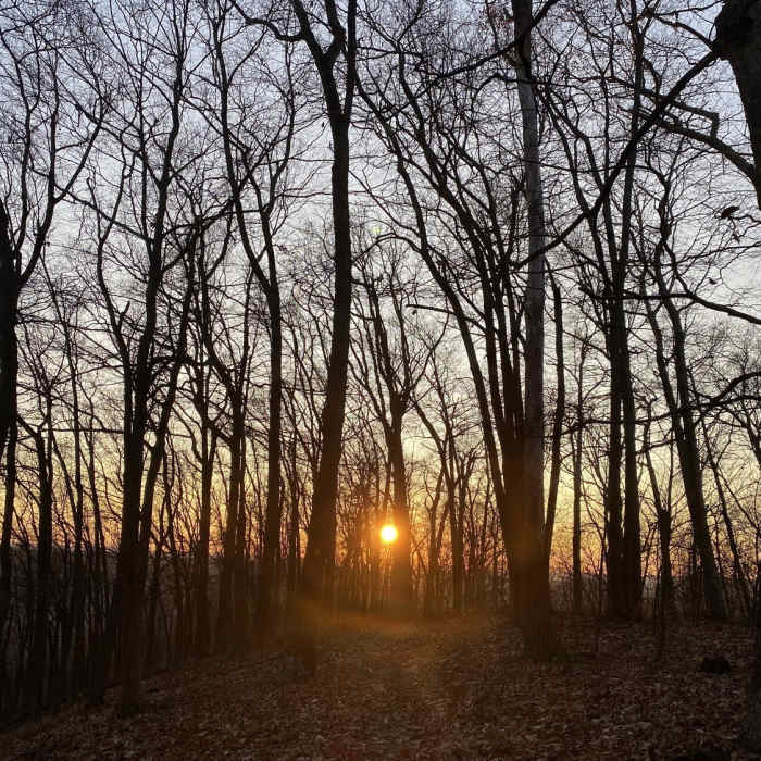 Near Loyalsock to Smiths Knob