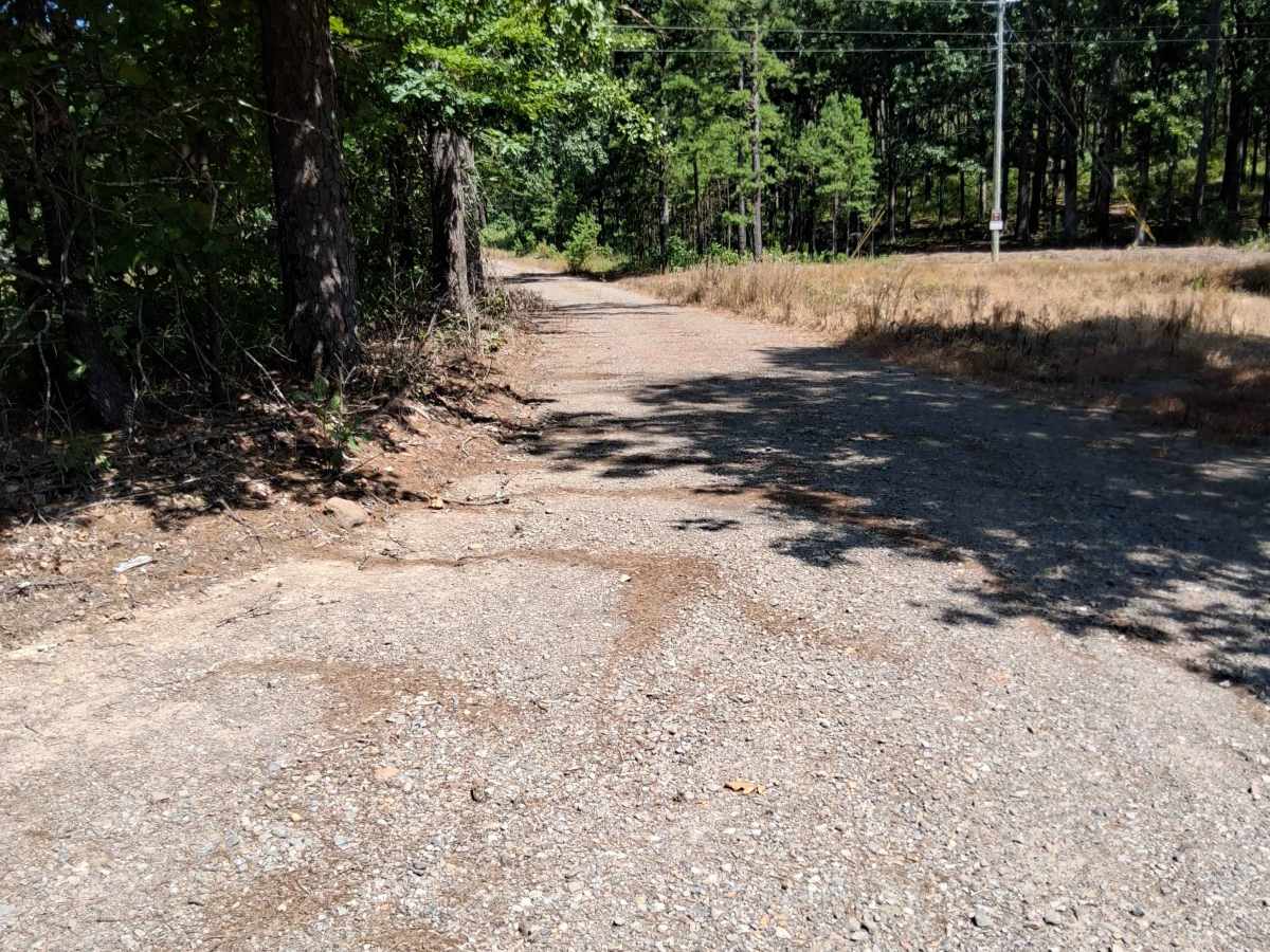 Big Bertha trail photo