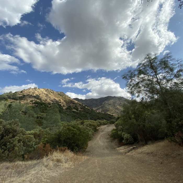 Out walking Near Mount Diablo Falls Loop