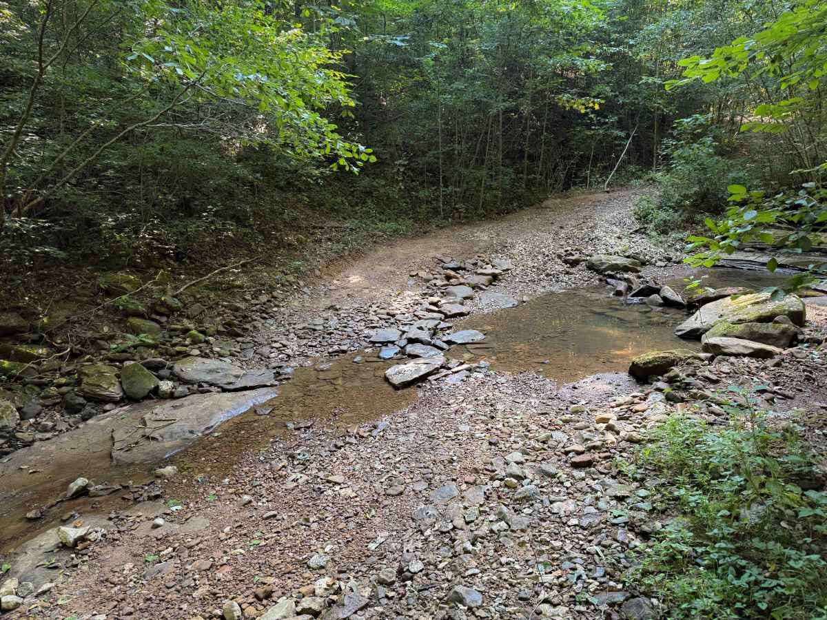 SW22 photo 3