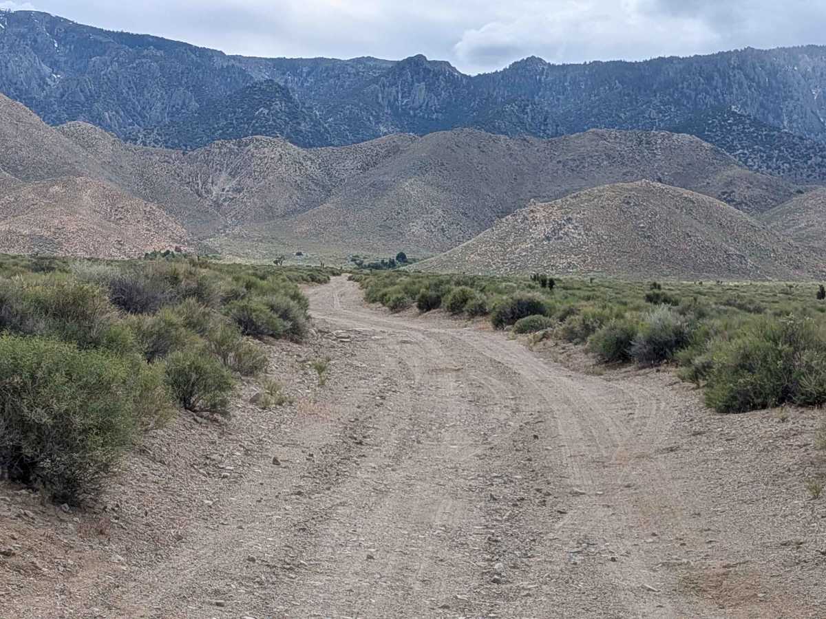 BLM SE743 photo 2