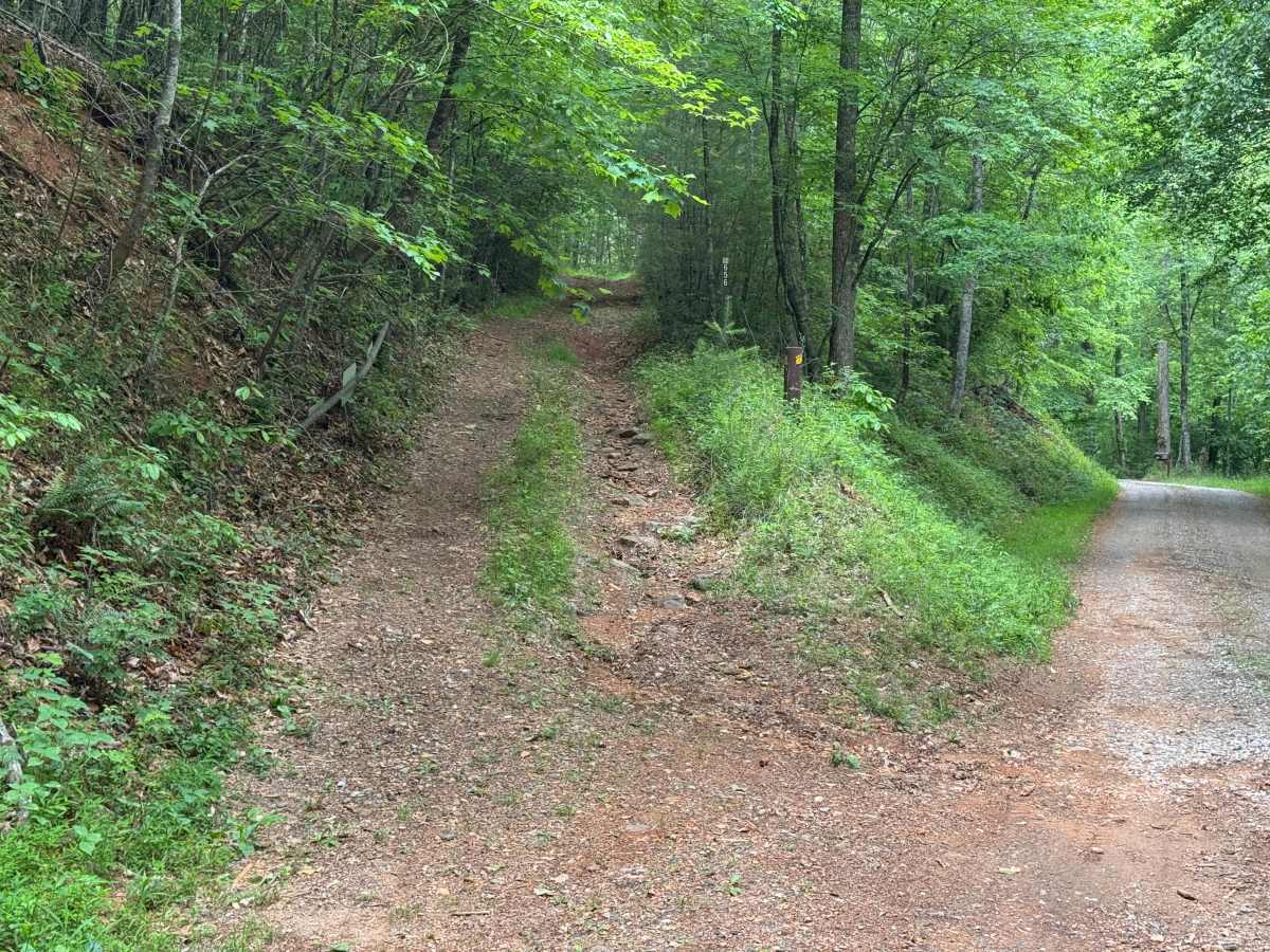 Headtown Creek - FS 656 photo 3
