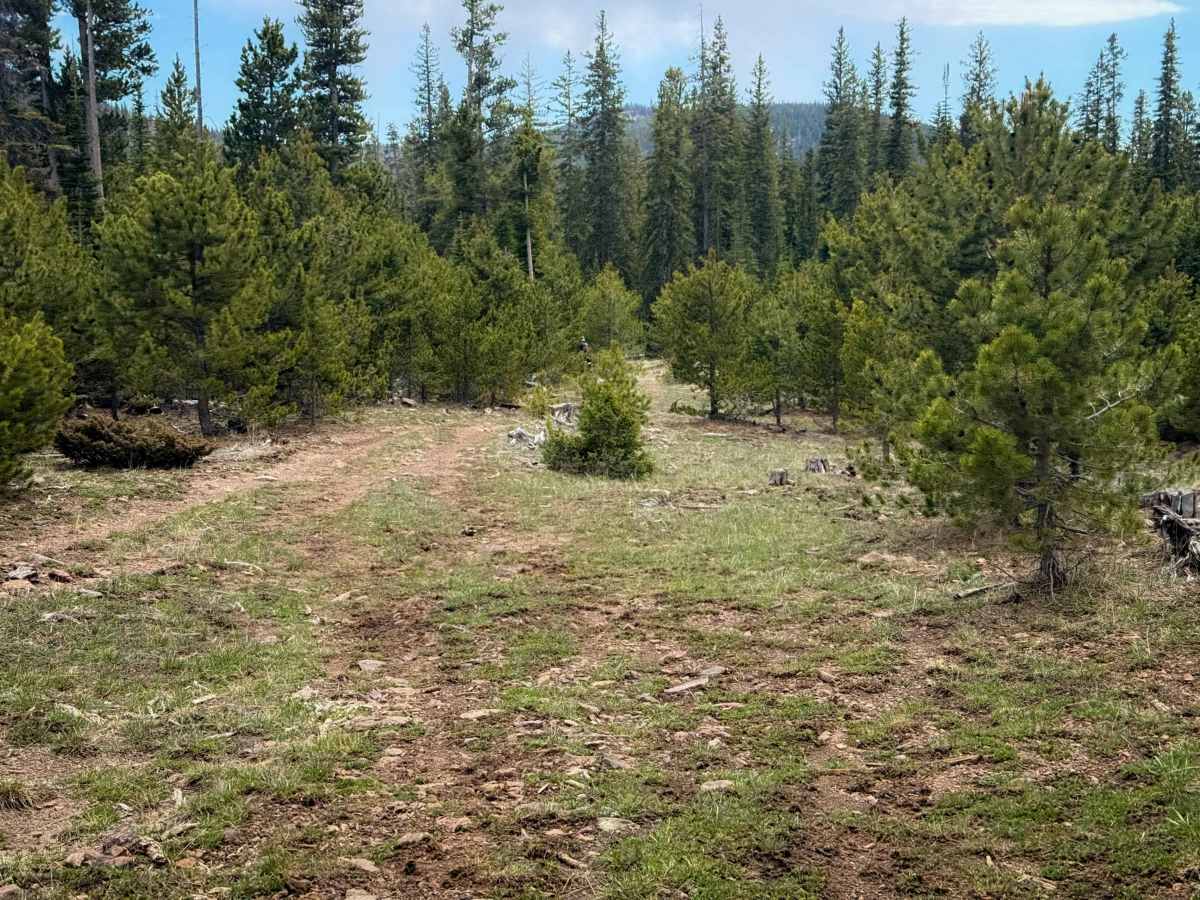 Anderson Creek #71  photo 5